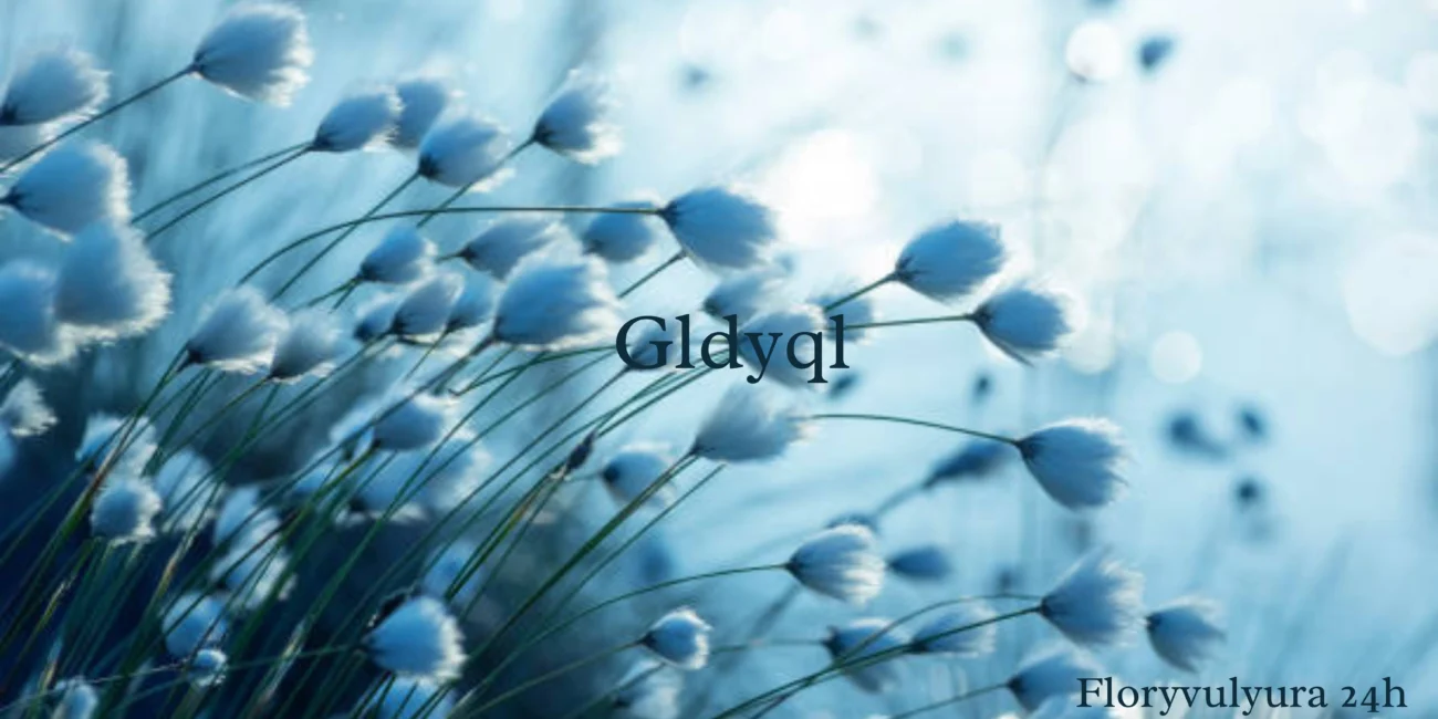 Understanding GLDYQL: A Symbol of Innovation, Creativity, and the Future of Digital Identity