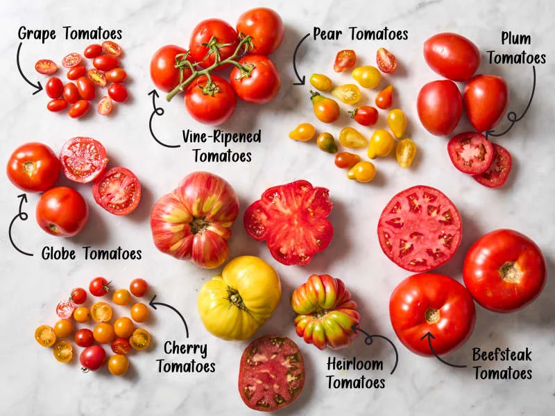 Tomatos or Tomatoes, Which Is the Correct Spelling
