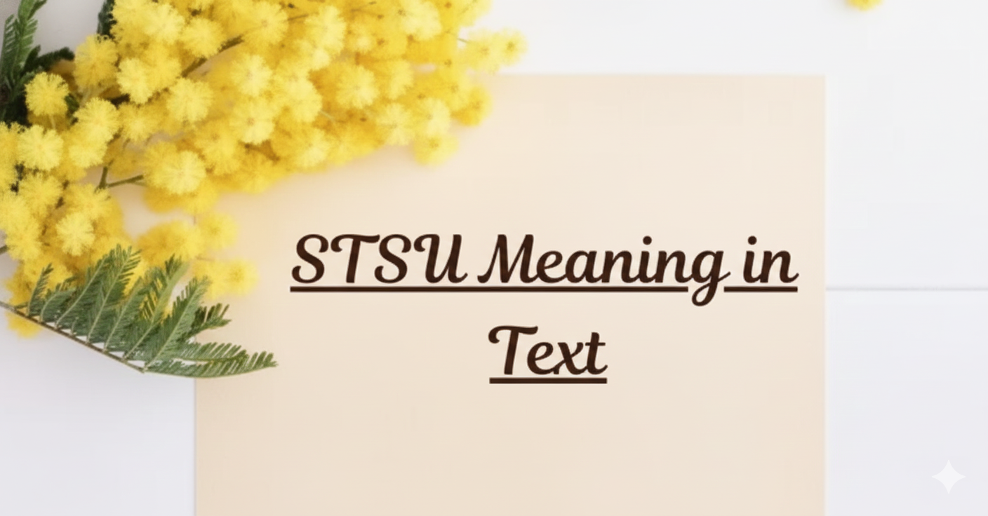STSU Meaning in Text, What It Really Means and How It’s Used