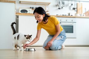 Helping Pet Owners Save Without Compromising Quality